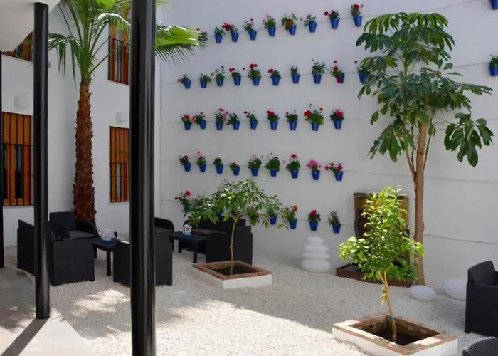 Casa Patio Palmeras Con Piscina *