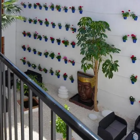 Casa Patio Palmeras Con Piscina Córdoba