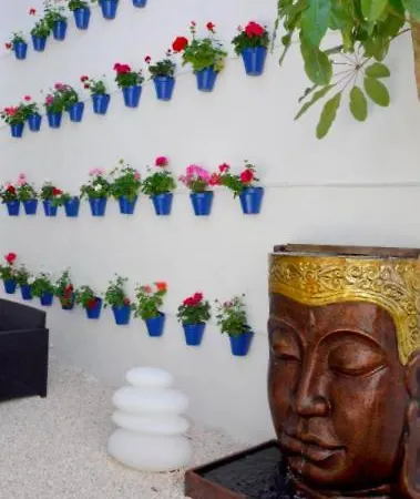 Апартаменты Casa Patio Palmeras Con Piscina *