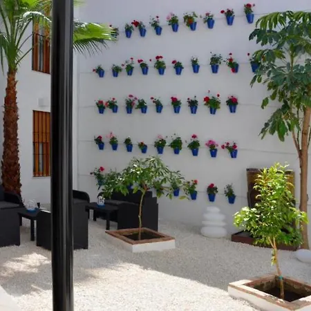 Casa Patio Palmeras Con Piscina *